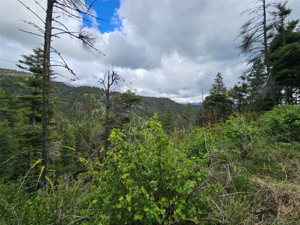 18866 Copper Ridge Trail Florence MT 59833