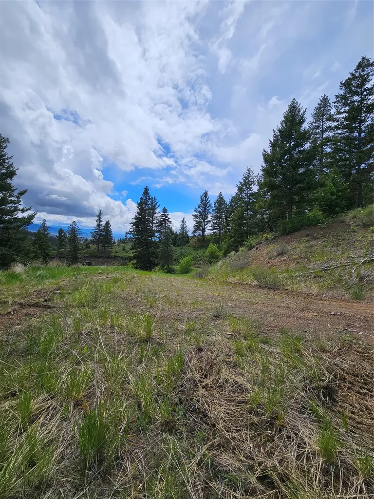 18866 Copper Ridge Trail Florence MT 59833