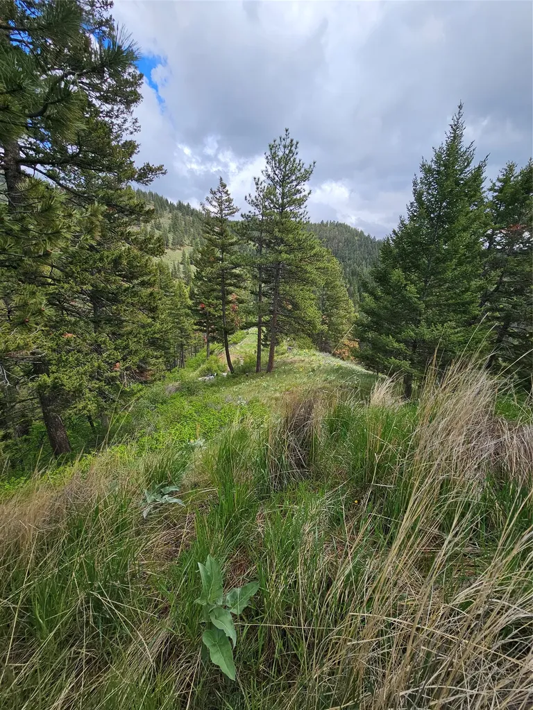 18866 Copper Ridge Trail Florence MT 59833