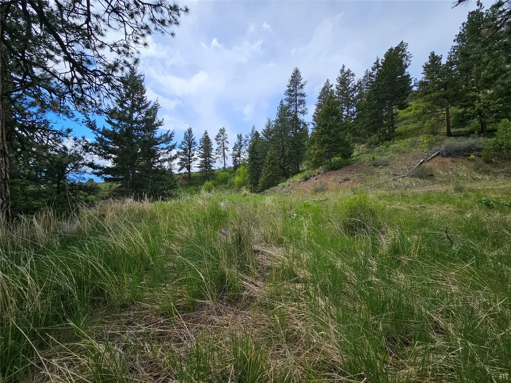 18866 Copper Ridge Trail Florence MT 59833