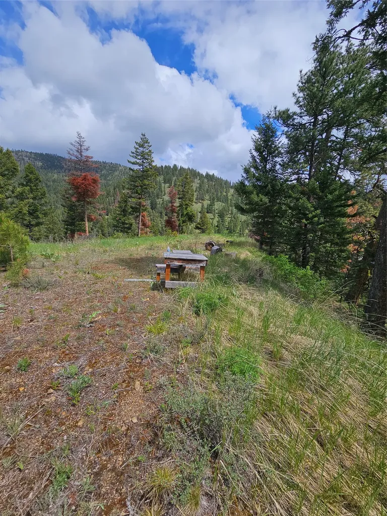 18866 Copper Ridge Trail Florence MT 59833