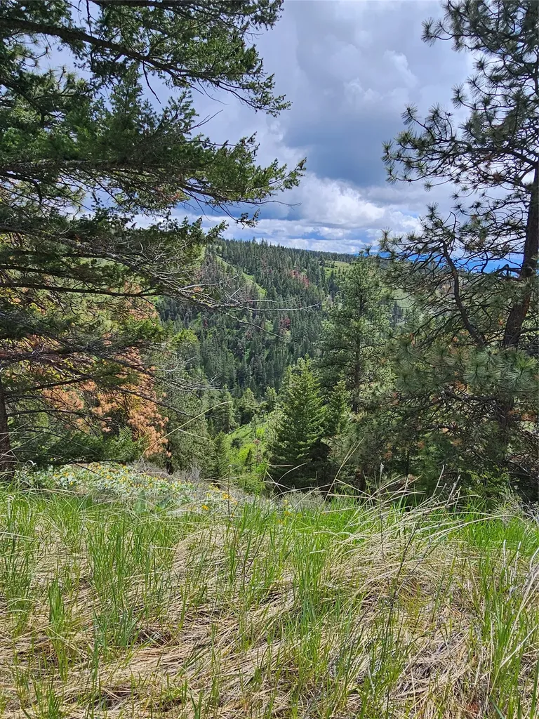 18866 Copper Ridge Trail Florence MT 59833