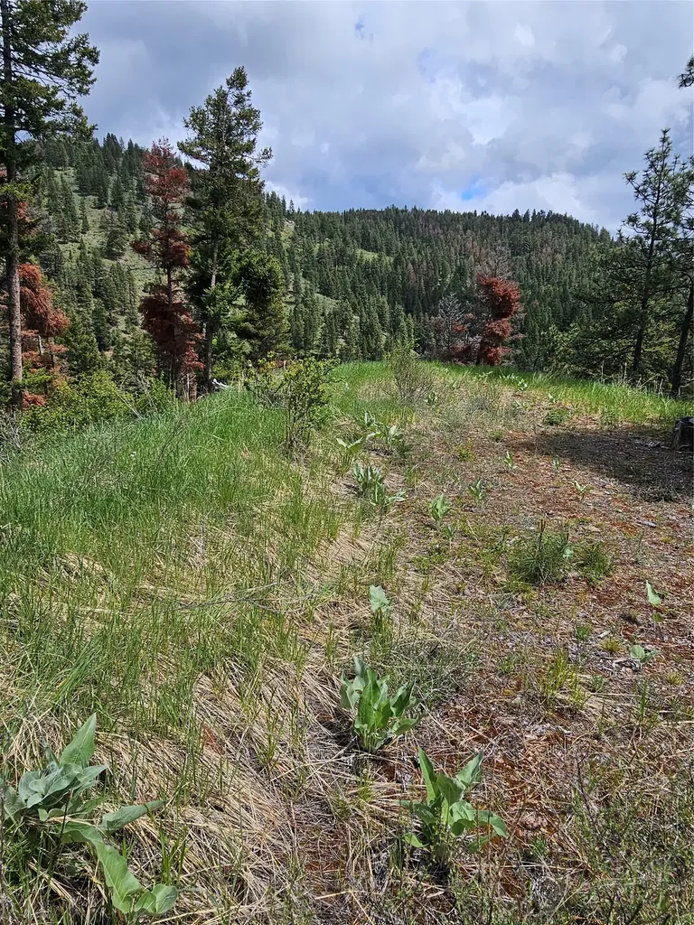 18866 Copper Ridge Trail Florence MT 59833