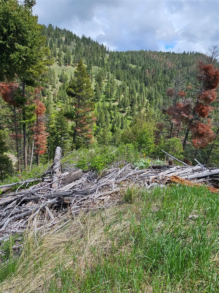 18866 Copper Ridge Trail Florence MT 59833