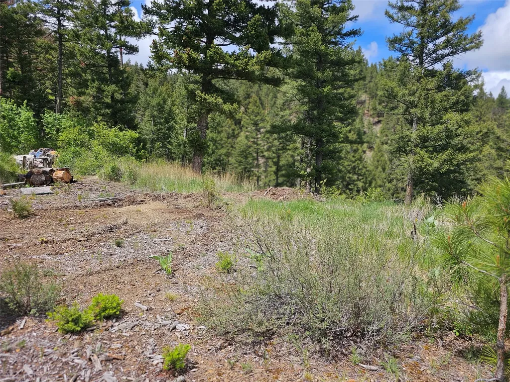 18866 Copper Ridge Trail Florence MT 59833