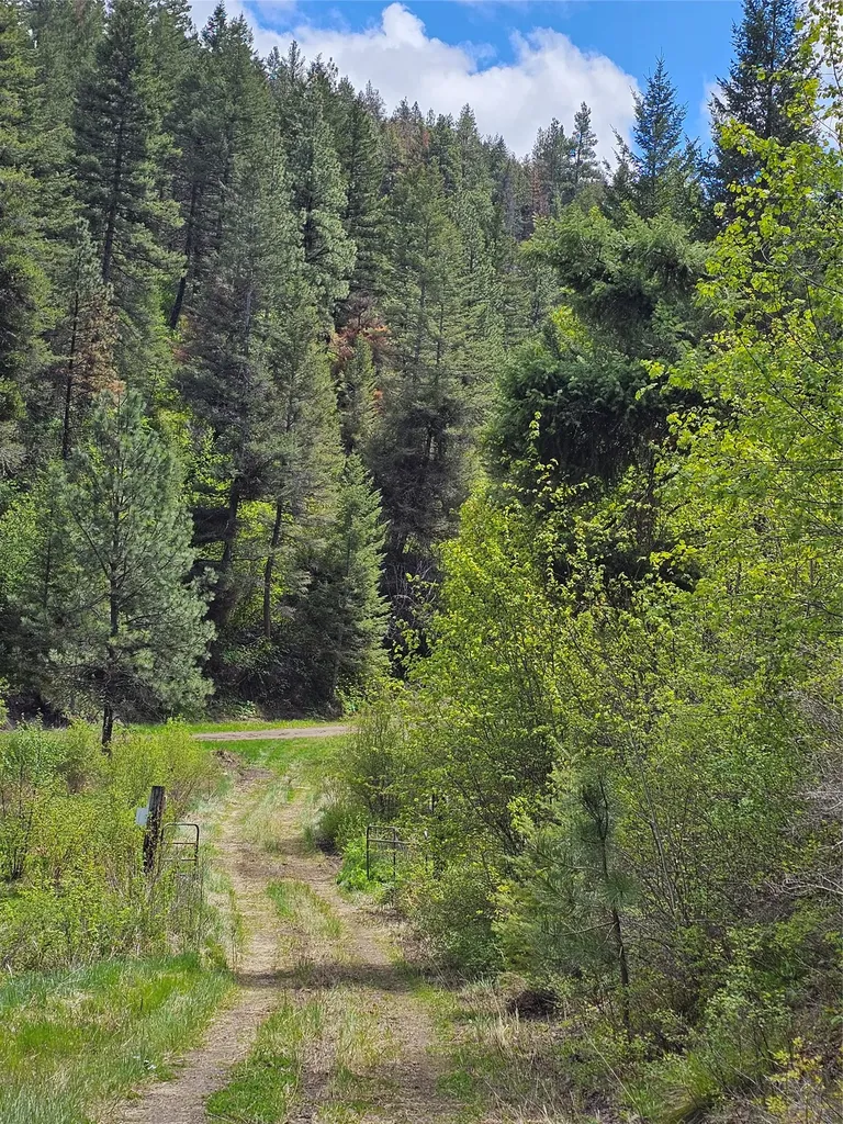 18866 Copper Ridge Trail Florence MT 59833