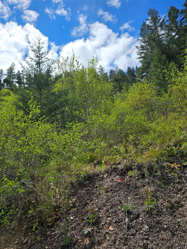 18866 Copper Ridge Trail Florence MT 59833