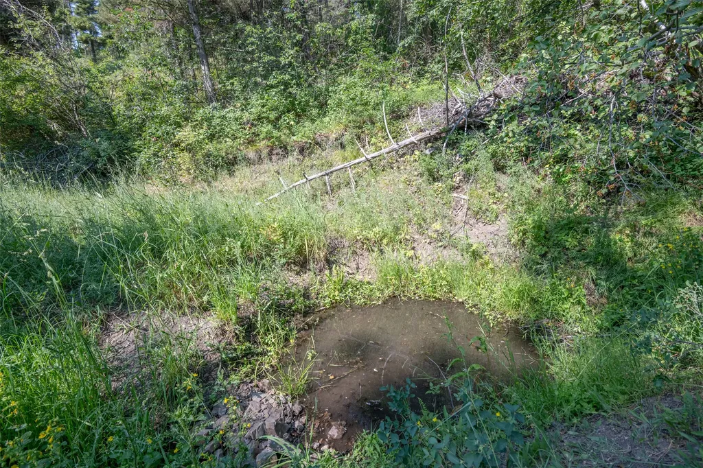 18866 Copper Ridge Trail Florence MT 59833