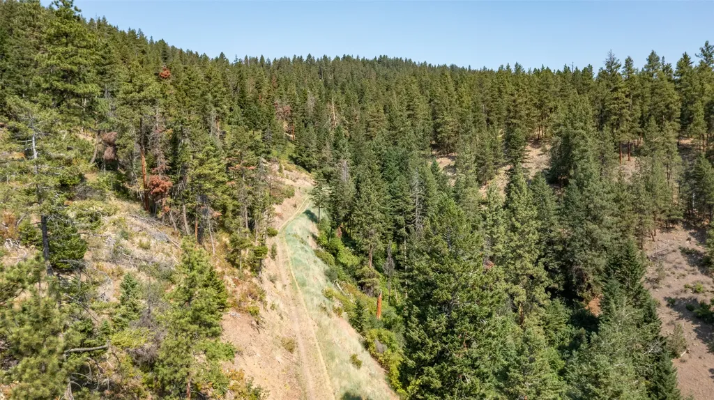 18866 Copper Ridge Trail Florence MT 59833