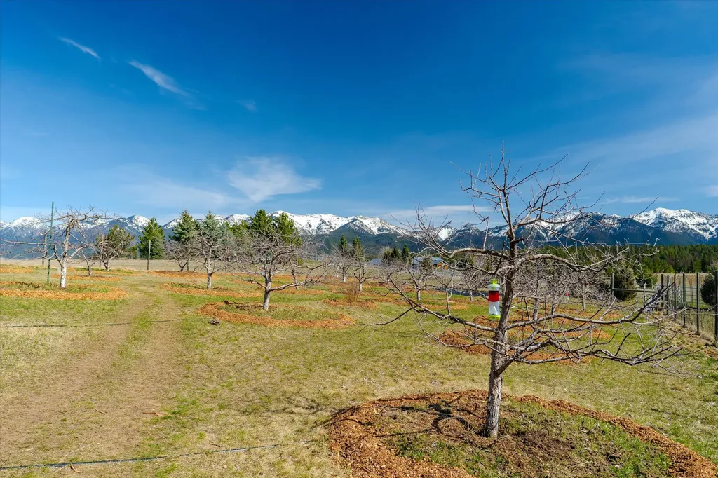 182 Moondance Trail Bigfork MT 59911