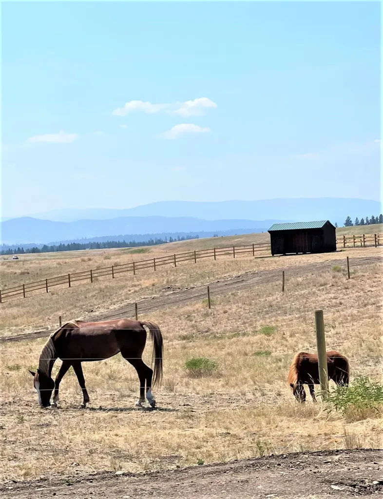 5626 Airport Road Eureka MT 59917