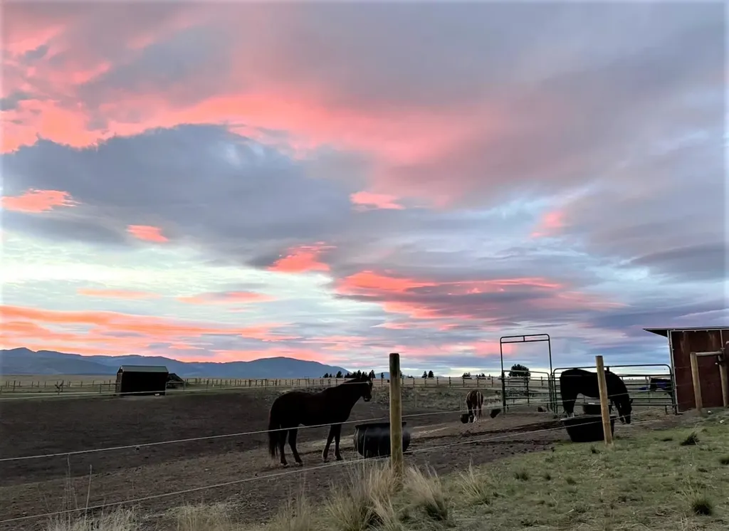 5626 Airport Road Eureka MT 59917