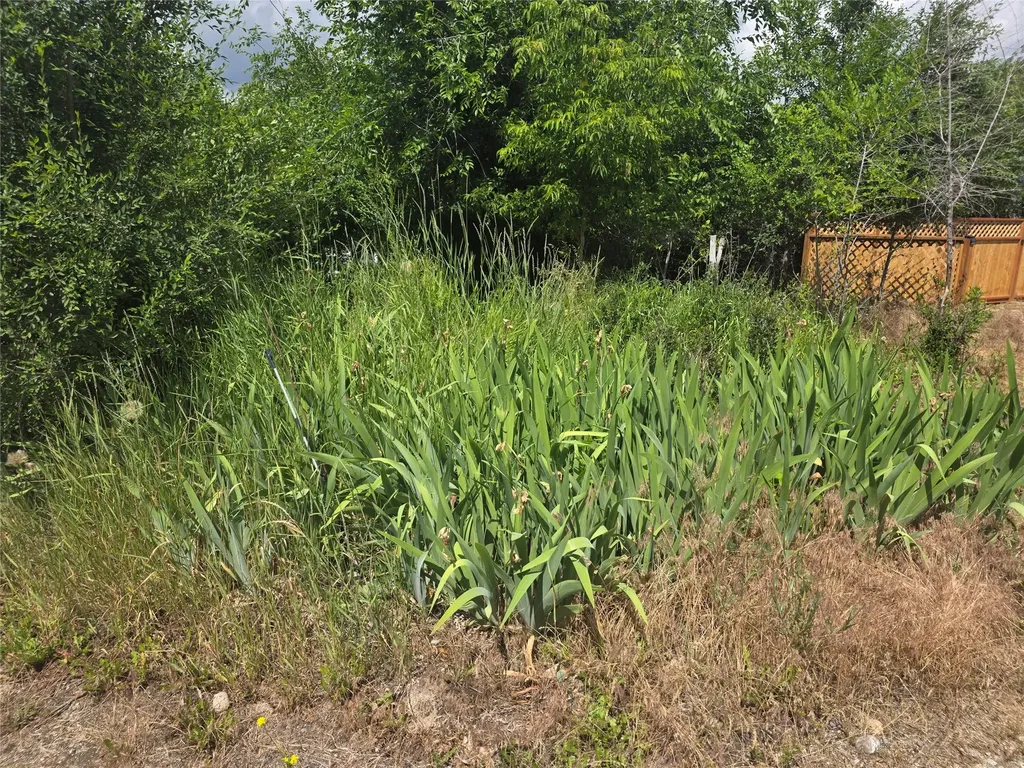 114 N 7th Street Hamilton MT 59840