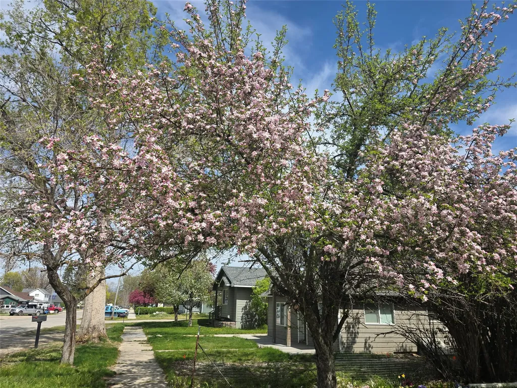 114 N 7th Street Hamilton MT 59840
