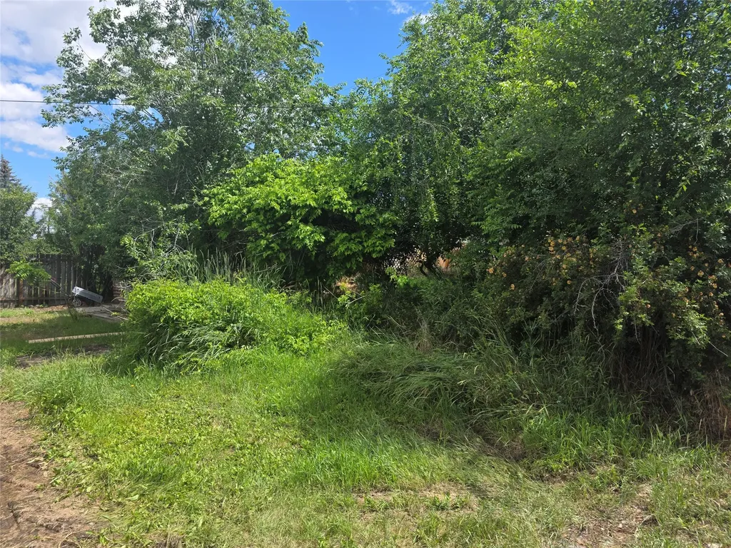114 N 7th Street Hamilton MT 59840