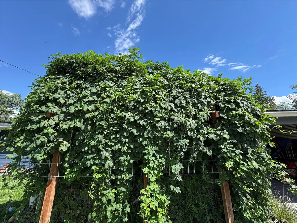 4309 23rd Avenue Missoula MT 59803
