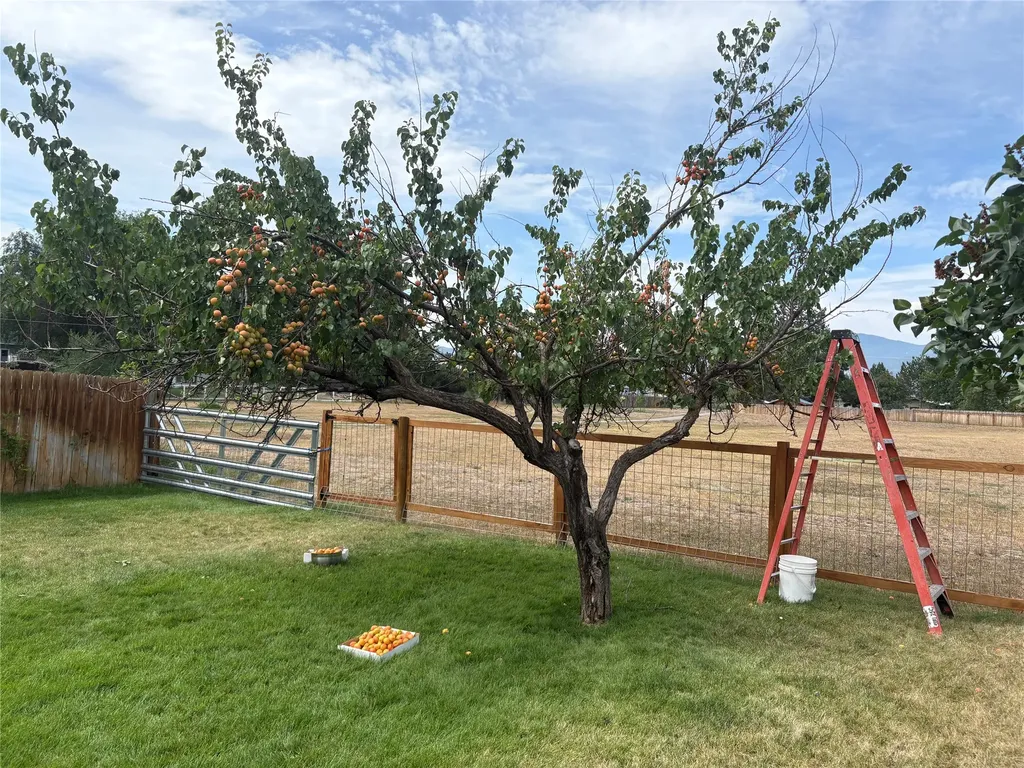 4309 23rd Avenue Missoula MT 59803