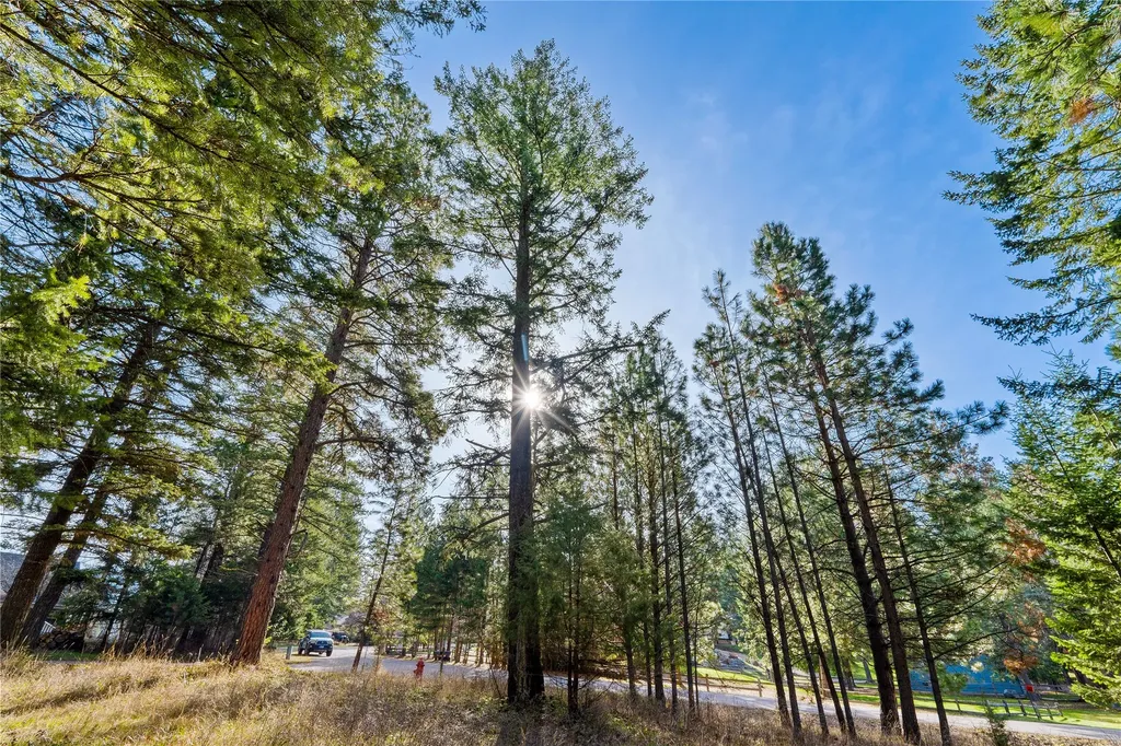 Nhn Hilltop Terrace Bigfork MT 59911