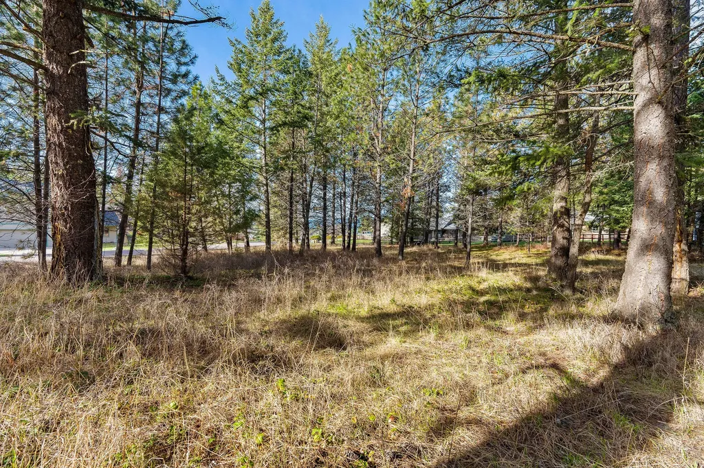Nhn Hilltop Terrace Bigfork MT 59911