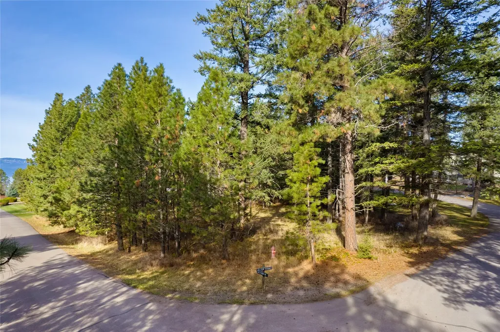 Nhn Hilltop Terrace Bigfork MT 59911