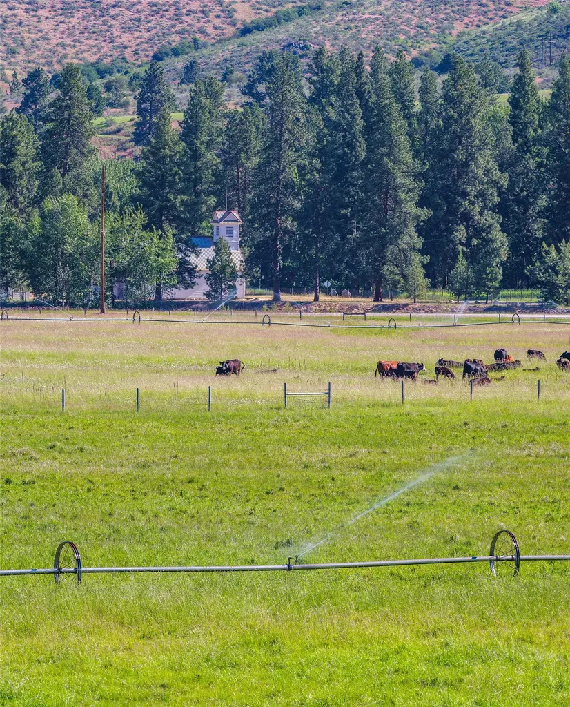 2519 Old Darby Road Darby MT 59829