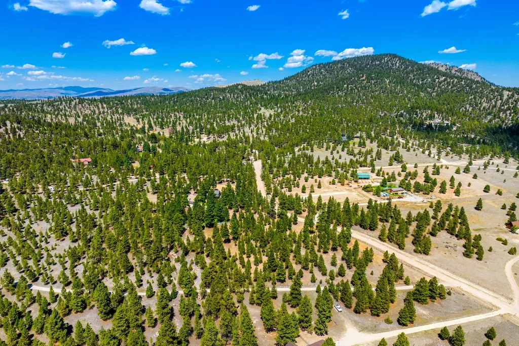 6260 Head Lane Helena MT 59602
