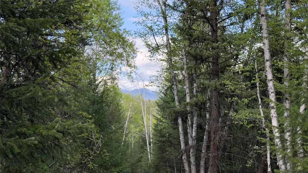 2096 Marl Lake Creek Road Eureka MT 59917