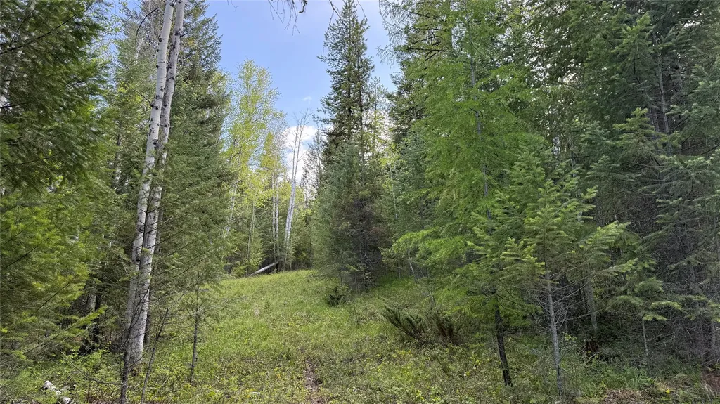 2096 Marl Lake Creek Road Eureka MT 59917