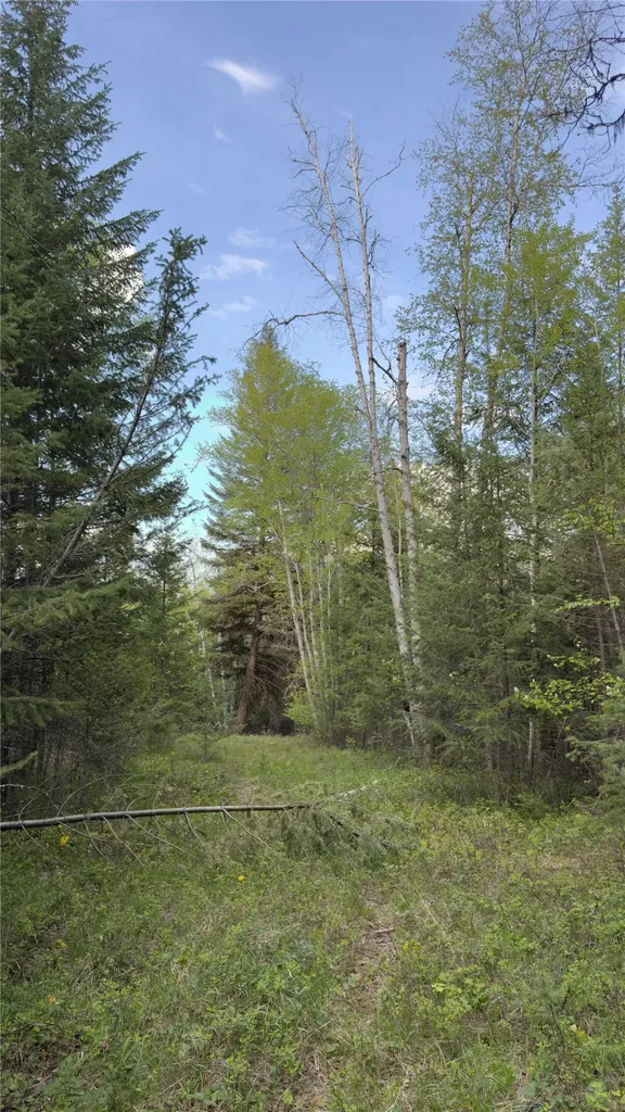 2096 Marl Lake Creek Road Eureka MT 59917