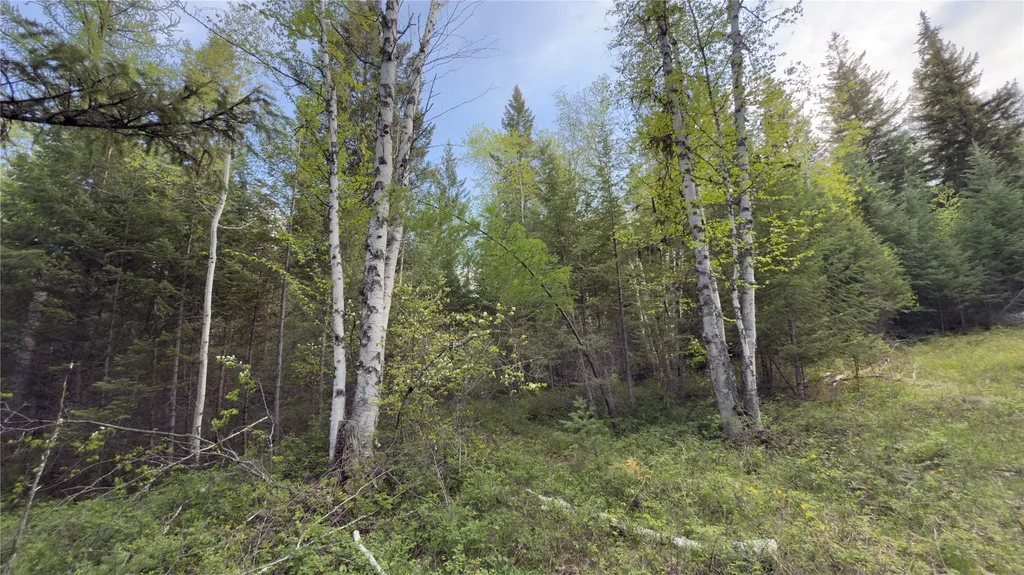 2096 Marl Lake Creek Road Eureka MT 59917