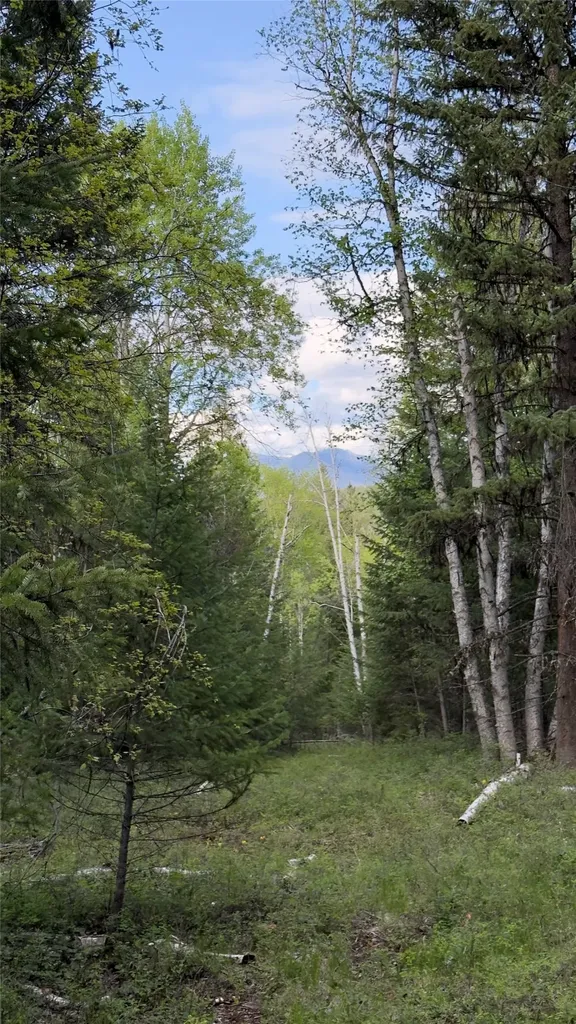 2096 Marl Lake Creek Road Eureka MT 59917