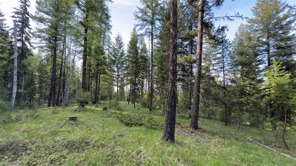 2096 Marl Lake Creek Road Eureka MT 59917