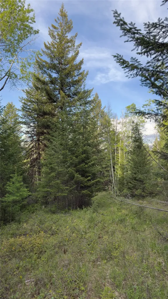 2096 Marl Lake Creek Road Eureka MT 59917