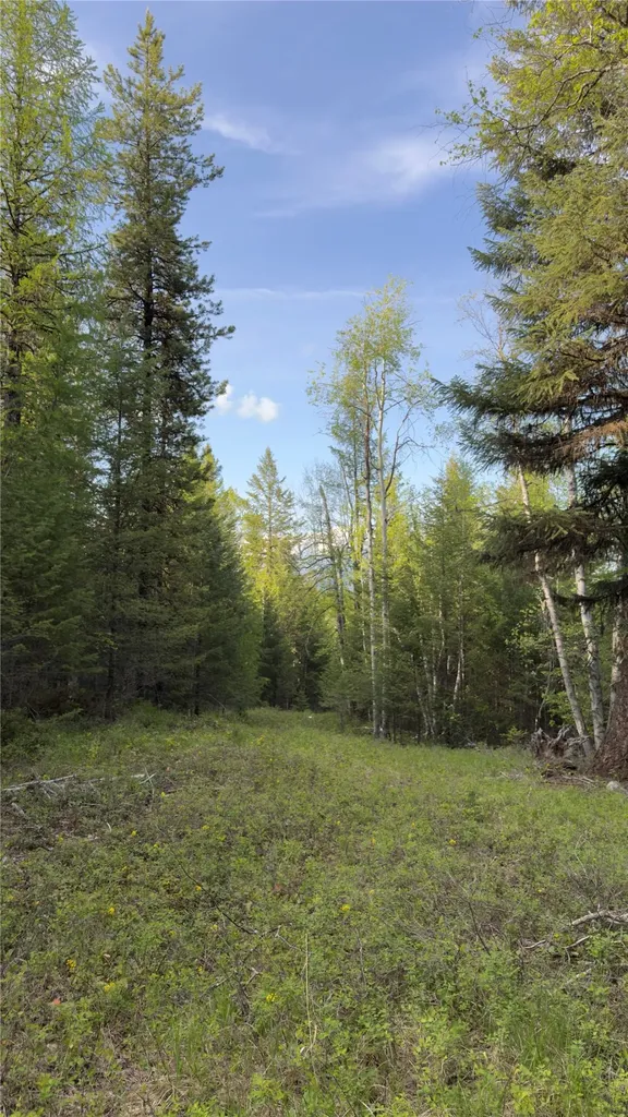 2096 Marl Lake Creek Road Eureka MT 59917