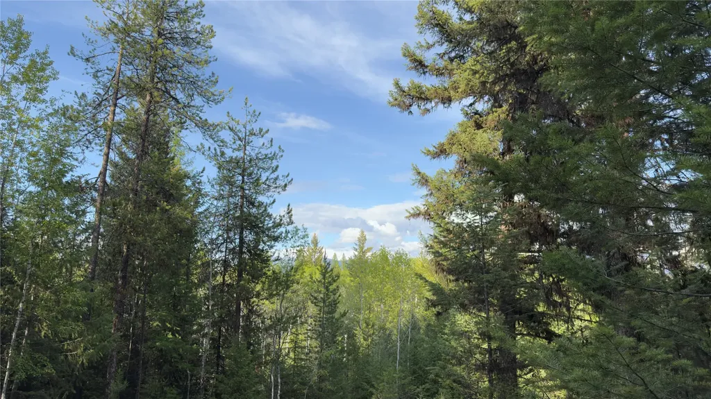 2096 Marl Lake Creek Road Eureka MT 59917