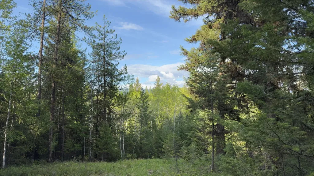 2096 Marl Lake Creek Road Eureka MT 59917