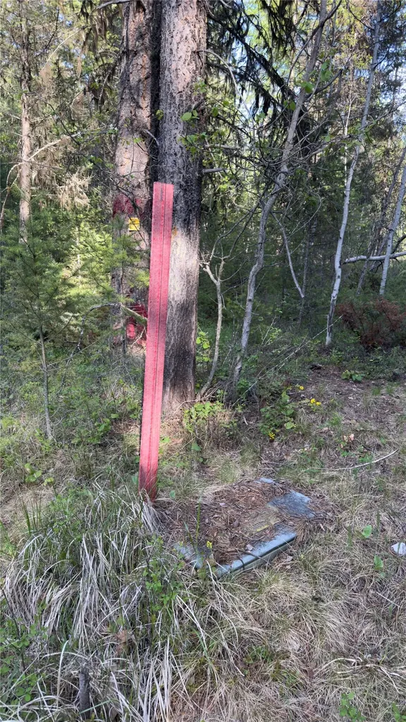 2096 Marl Lake Creek Road Eureka MT 59917