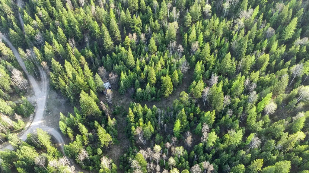 2096 Marl Lake Creek Road Eureka MT 59917