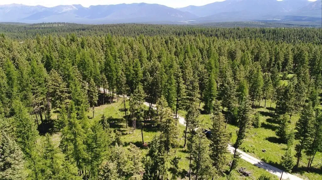 Lot 2 Meadow Springs Fortine MT 59918