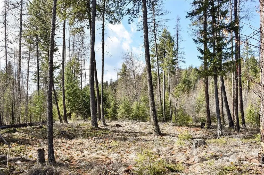 Lot 2 Meadow Springs Fortine MT 59918