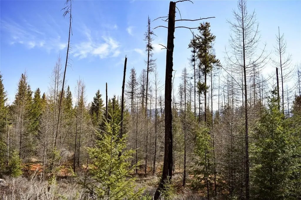 Lot 2 Meadow Springs Fortine MT 59918