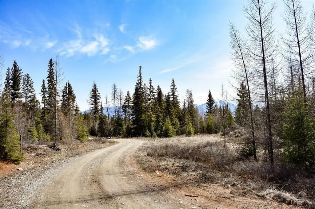 Lot 2 Meadow Springs Fortine MT 59918