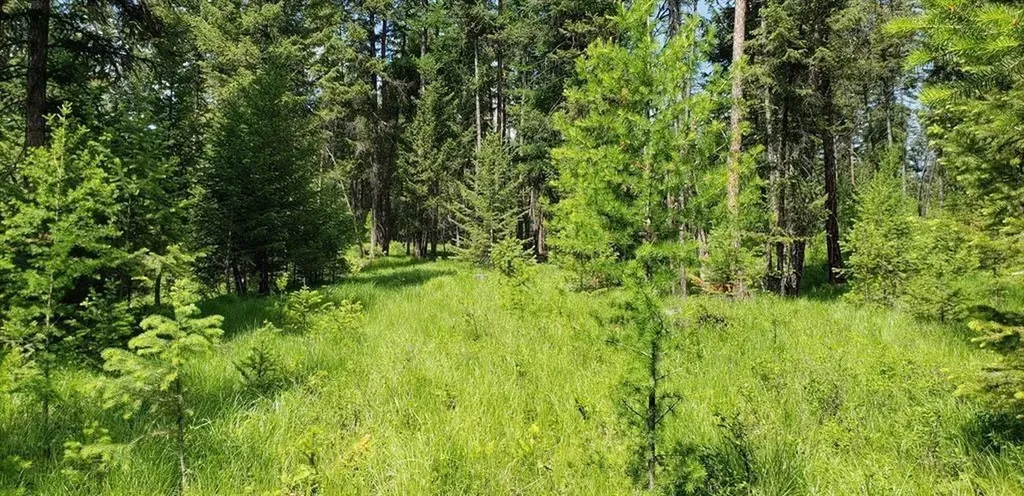 Lot 2 Meadow Springs Fortine MT 59918