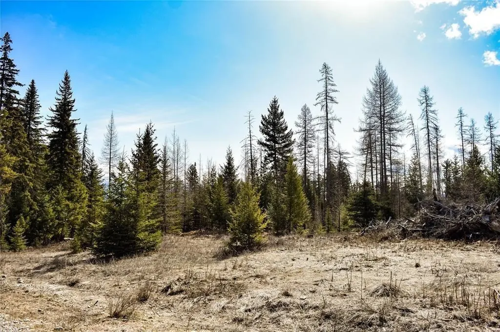 Lot 2 Meadow Springs Fortine MT 59918