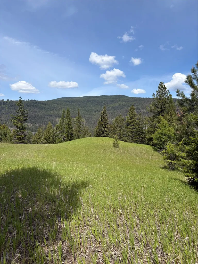 Lot 2 Meadow Springs Fortine MT 59918