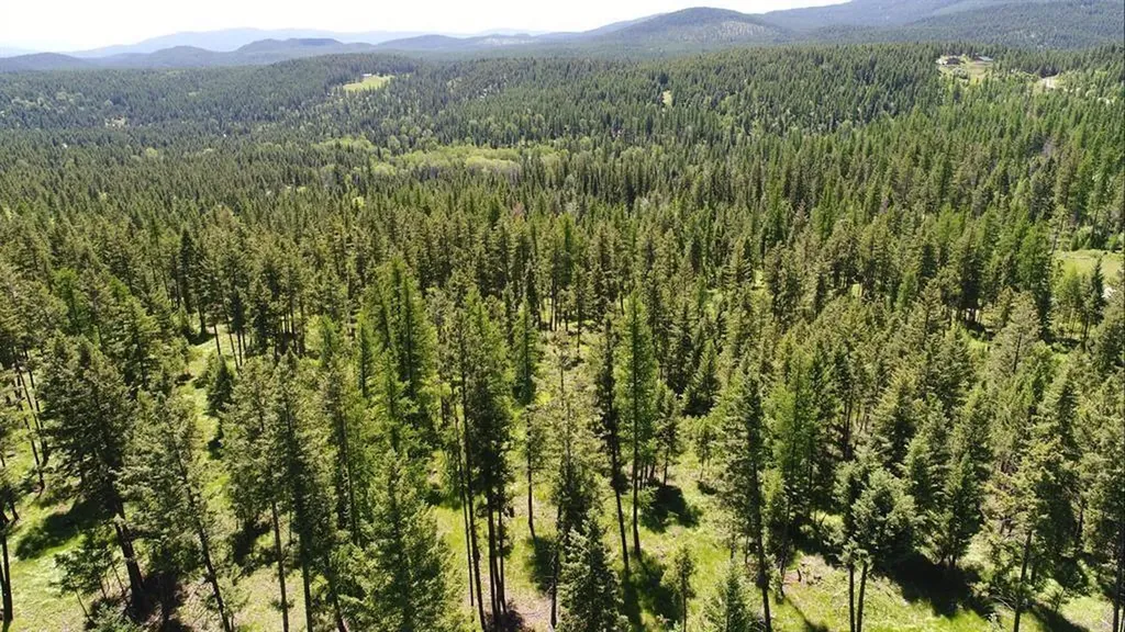 Lot 2 Meadow Springs Fortine MT 59918