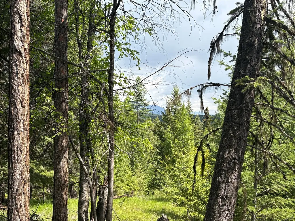 Lot 2 Meadow Springs Fortine MT 59918