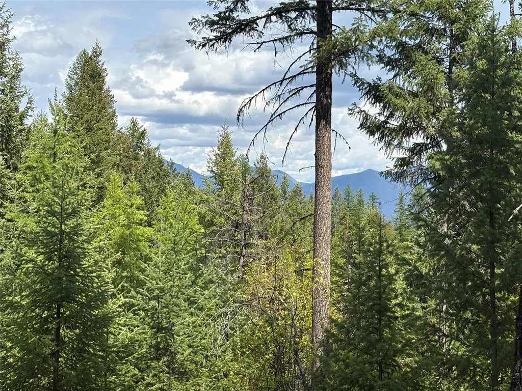 Lot 2 Meadow Springs Fortine MT 59918