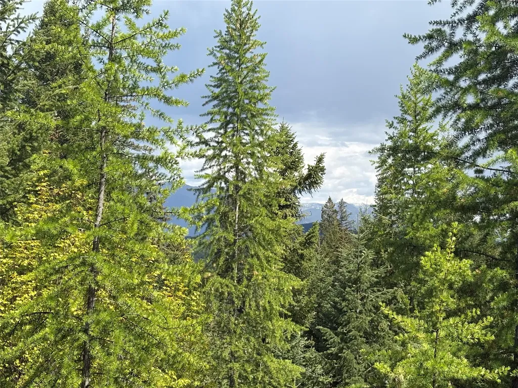 Lot 2 Meadow Springs Fortine MT 59918