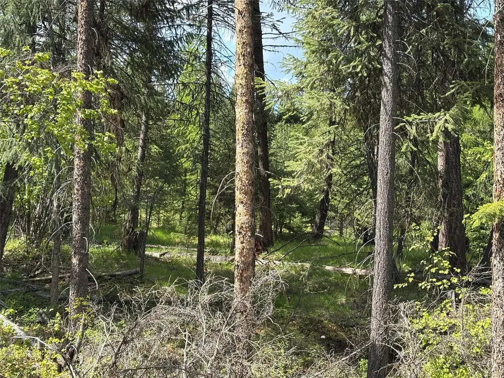 Lot 2 Meadow Springs Fortine MT 59918